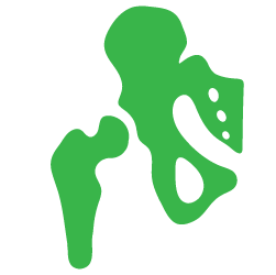 Advita Ortho Hip Illustration