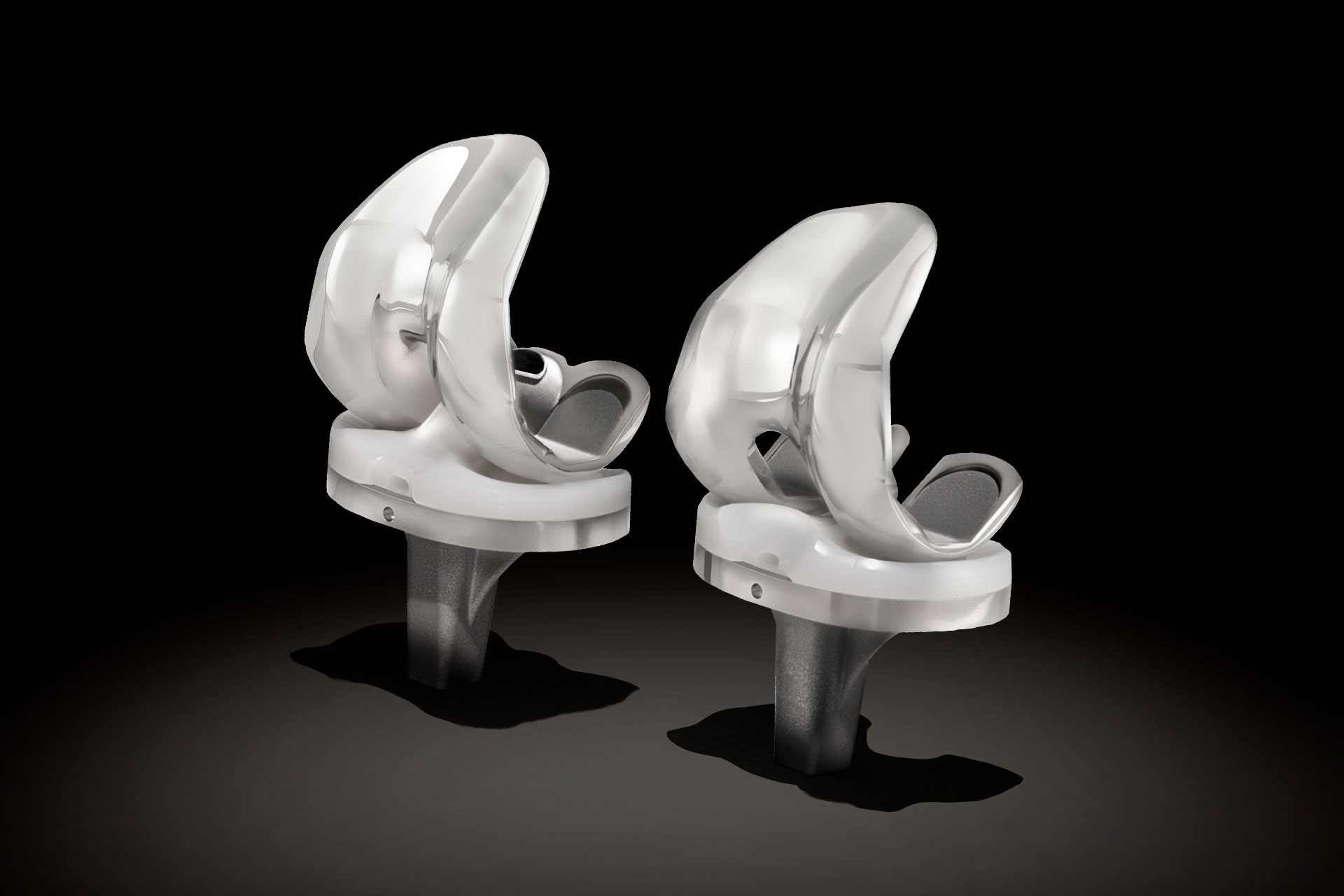 Logic Primary Knee System