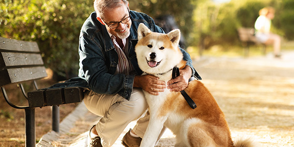 Advita Ortho Hip Surgery man walking dog in park