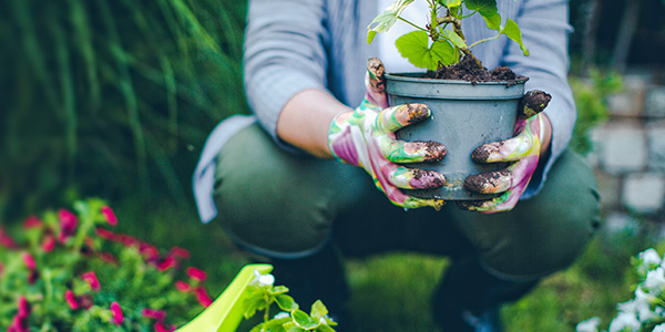 Advita Ortho Knee Surgery woman in garden